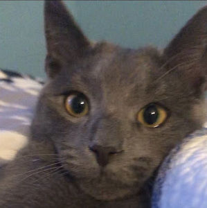 Meet your Posher, Chrisbmx